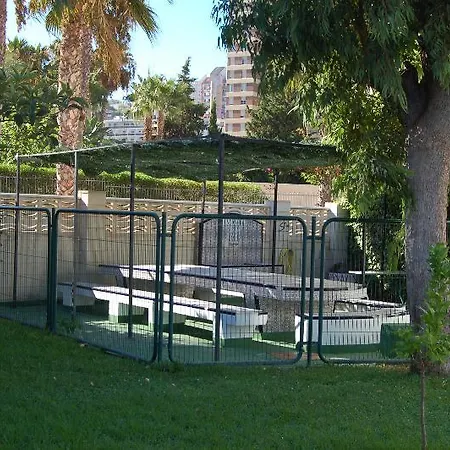 Rinconada Real - * בנידורם