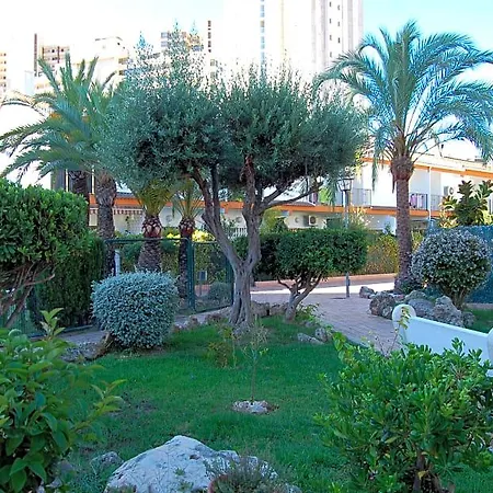 Rinconada Real - * Benidorm