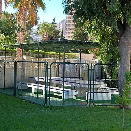 Rinconada Real - Benidorm