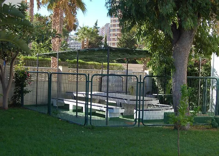 Rinconada Real - * Benidorm